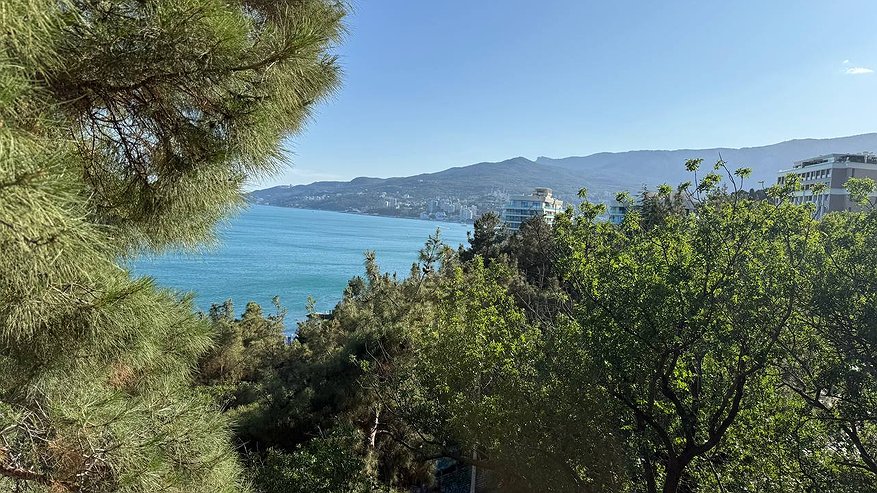 Главная картинка новости: Дешевле и доступнее: вернувшиеся на Родину россияне рассказали, чем их впечатлила Россия - такого не найдешь за границей