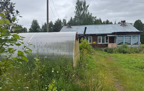 Не горчица и не гречиха: два лучших осенних сидерата, которые действительно оживят вашу землю