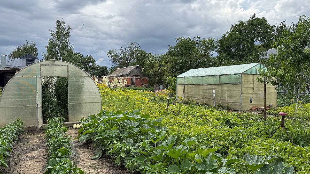 Главная картинка новости: Быстрый компост без хлопот: всего 3 ложки на кучу, и уже через год получите отличное удобрение