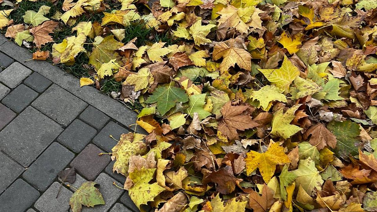 Главная картинка новости: «В ноябре случится что-то страшное». Синоптики сказали, к чему готовиться