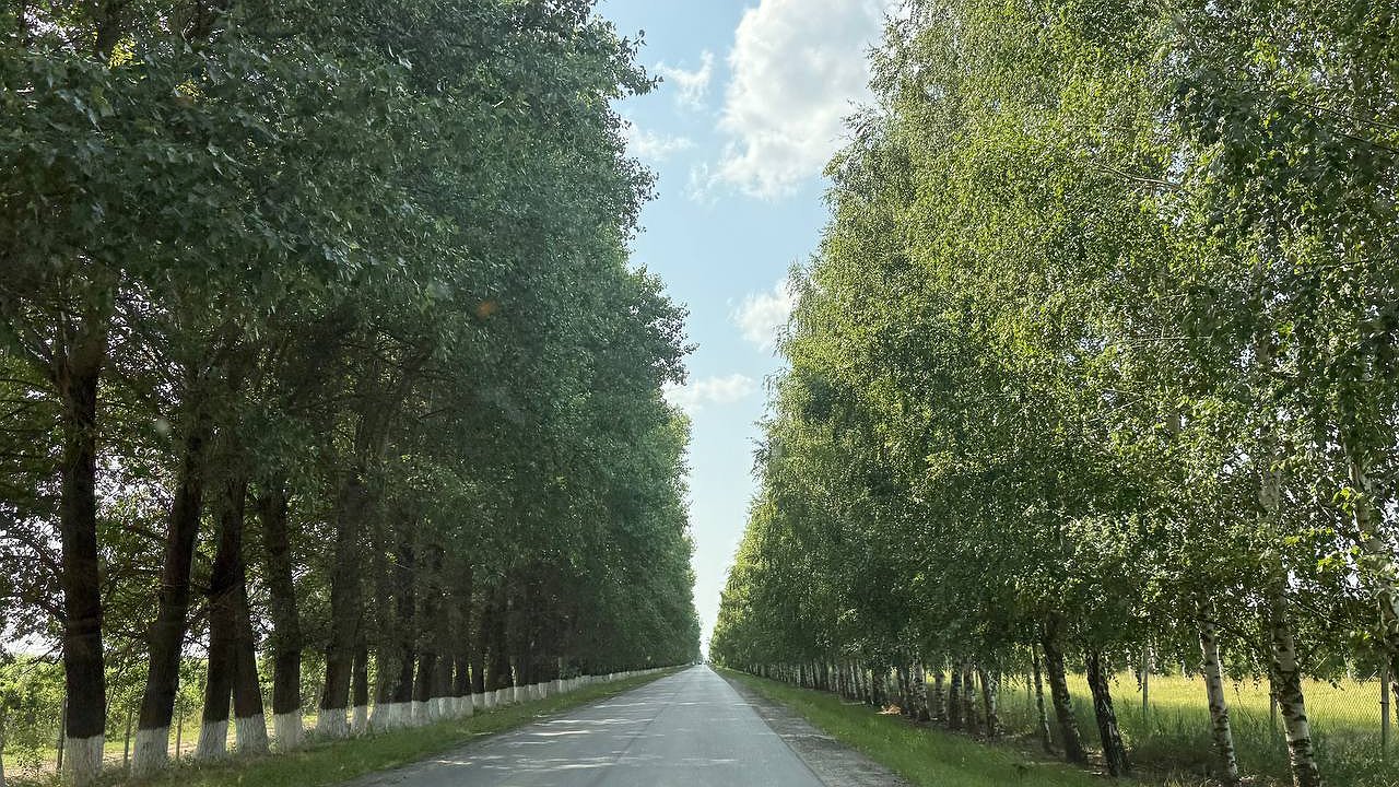 Главная картинка новости: «Октябрь будет абсолютно аномальным». Синоптики сказали, что нас ждёт в середине осени