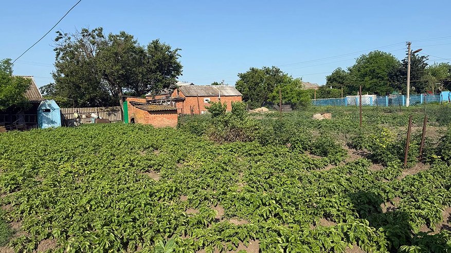 Главная картинка новости: 7 обязательных и важных дел в саду и огороде на осень: готовим участок к зиме с умом