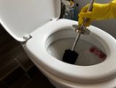 "5 ложек чистоты": горничные дали совет, что нужно засыпать на ночь в унитаз, чтобы утром он блистал как новый