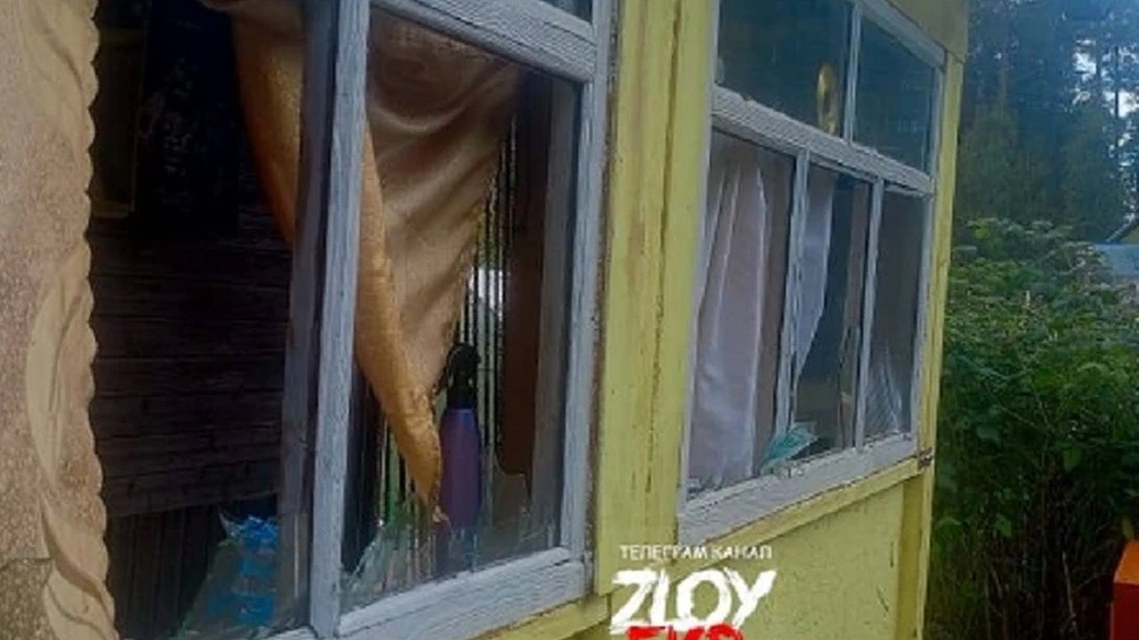 Главная картинка новости: Террор на шести сотках: как один дебошир держит в страхе целый садовый массив под Екатеринбургом