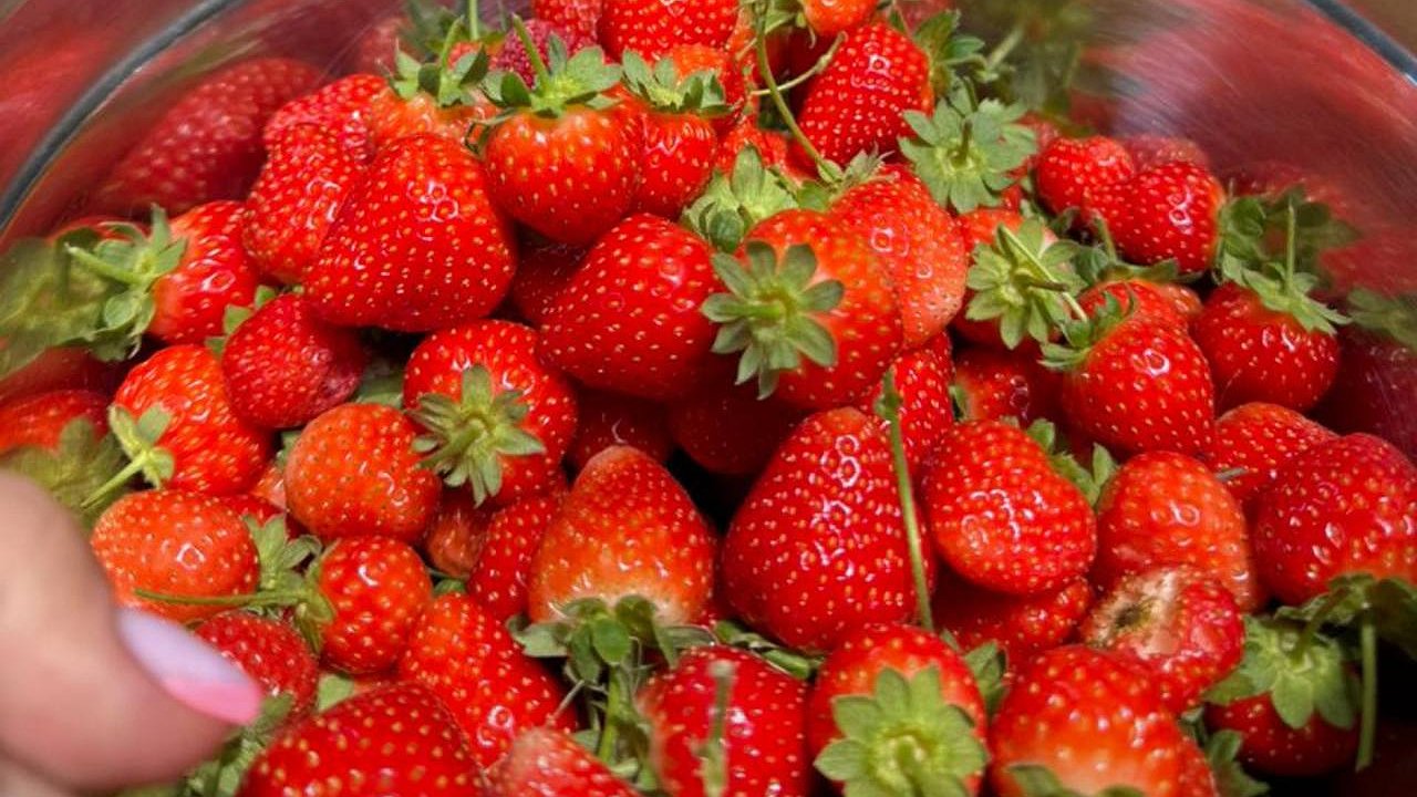 Главная картинка новости: Что надо клубнике в сентябре, чтобы на следующий год собрать ведро с куста