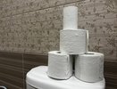 Поздно узнал, почему нельзя смывать туалетную бумагу в унитаз