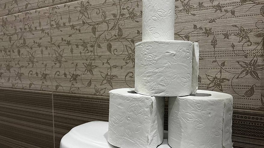 Главная картинка новости: Поздно узнал, почему нельзя смывать туалетную бумагу в унитаз