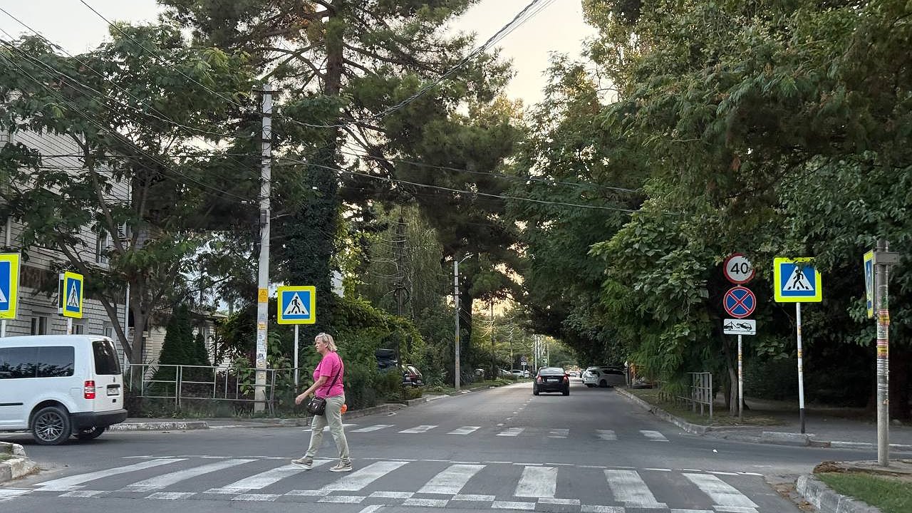 Главная картинка новости: Нужно ли ждать, пока пешеход полностью пересечет дорогу, или можно ехать сразу - Верховный суд расставил точки над и