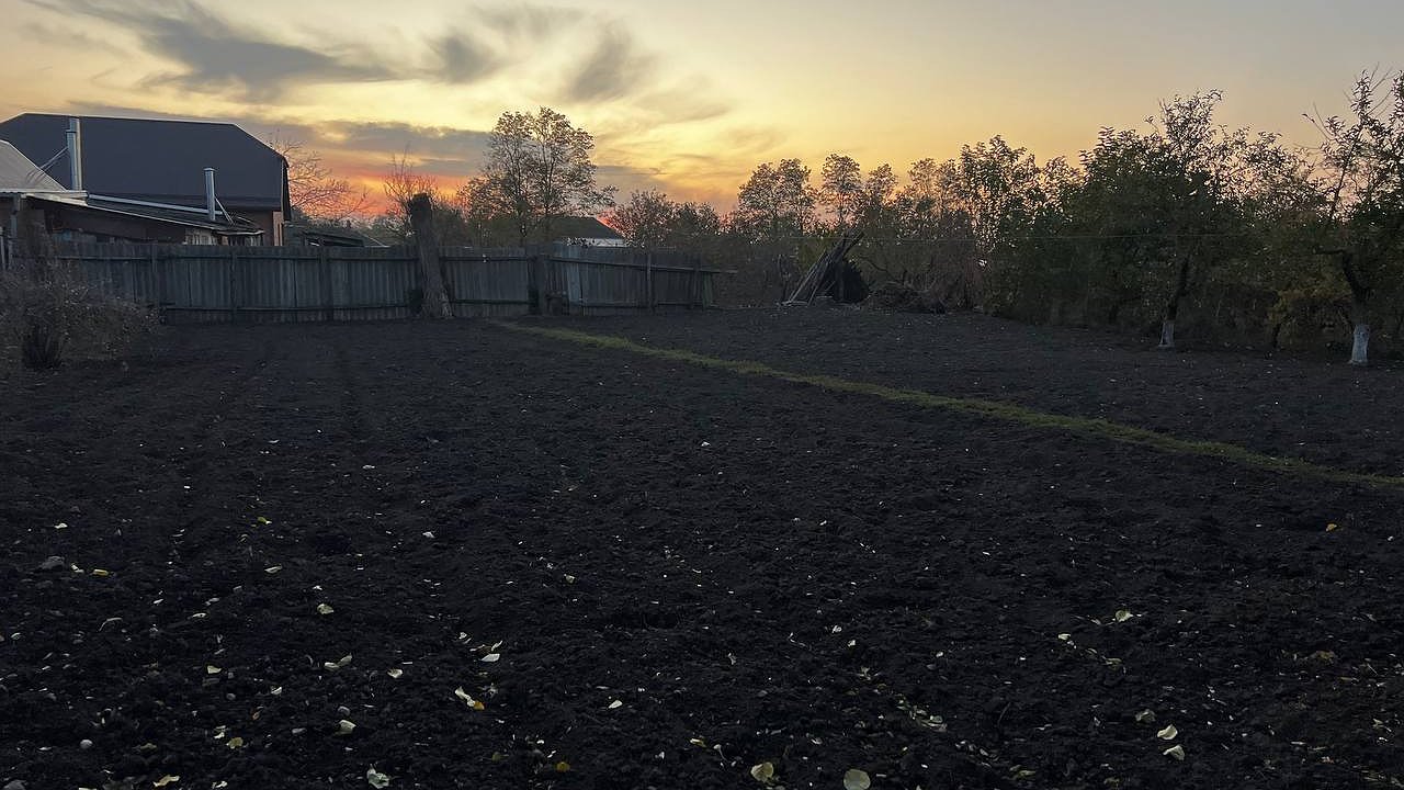 Главная картинка новости: Сорняки исчезнут сами: один гениальный лайфхак в сентябре — и весной грядки будут чистыми без единой травинки