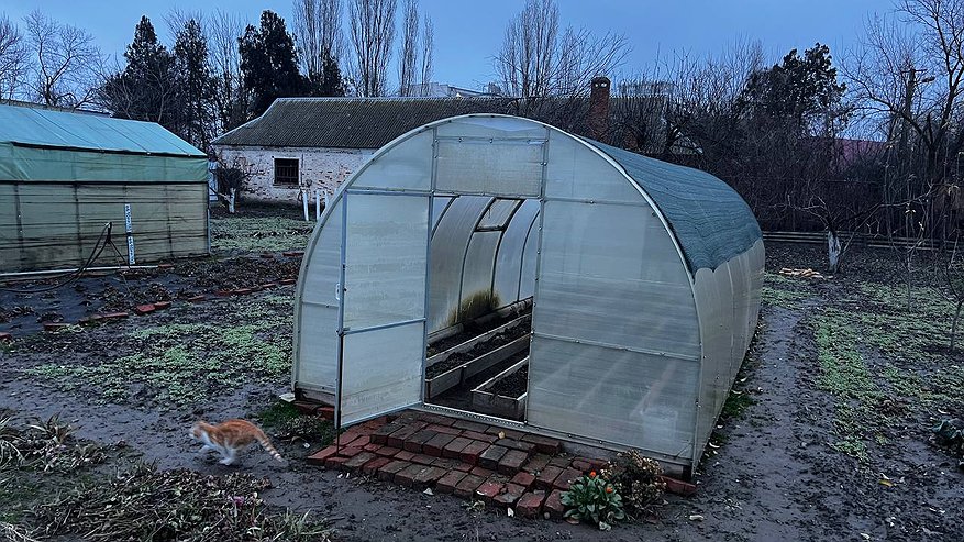 Главная картинка новости: Теплицу осенью не мою и другим не советую: популярные ошибки обработки теплицы в конце сезона - все рассказываю "на пальцах"