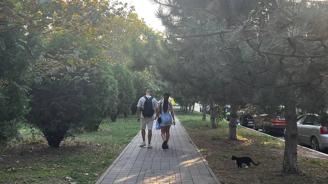 Главная картинка новости: Эти мужчины никогда не изменят: астрологи назвали топ-4 самых надежных знаков Зодиака