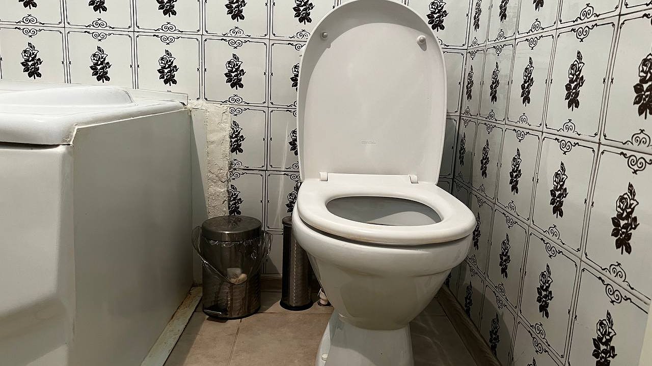 Главная картинка новости: Опытный сантехник поделился секретом: капаю всего одну каплю в унитаз - туалет больше никогда не засоряется