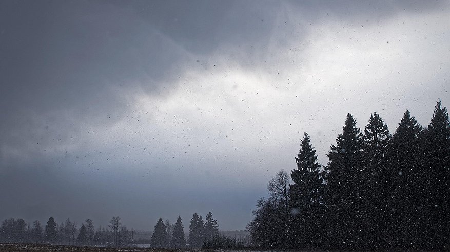 Главная картинка новости: Октябрь будет адски аномальным: синоптики дали неутешительный прогноз на середину осени