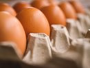 Перестаньте класть яйца после варки в холодную воду: популярный способ оказался опасным