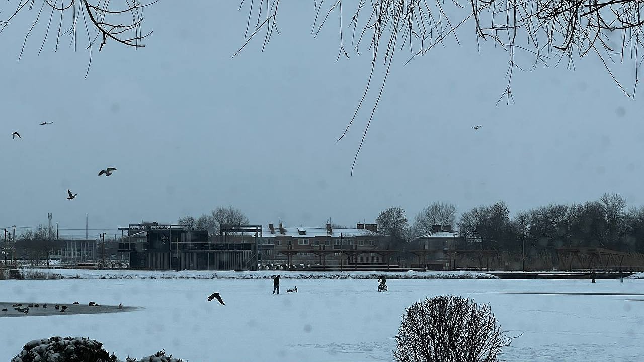 Главная картинка новости: Мощный снегопад и аномальный мороз: метеорологи назвали точную дату прихода зимы - уже на днях