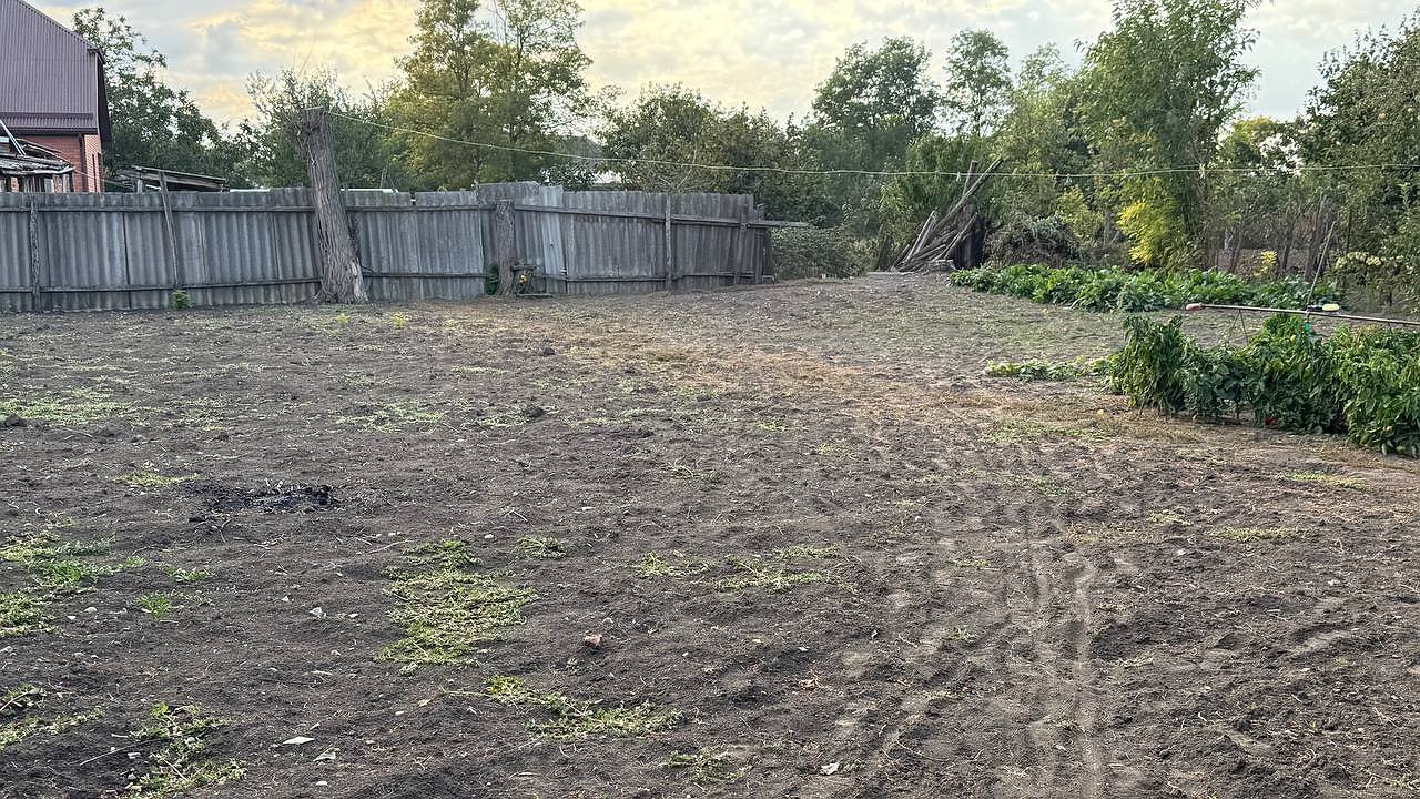 Главная картинка новости: Рассыпаю осенью доступный порошок по грядкам - помидоры, перцы и картошка попрут как на дрожжах