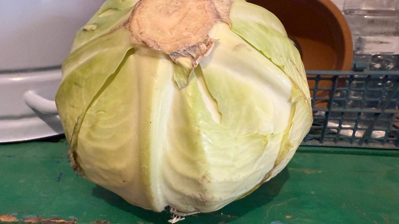 Главная картинка новости: Сколько по времени нужно выдерживать капусту при квашении - запомните раз и навсегда