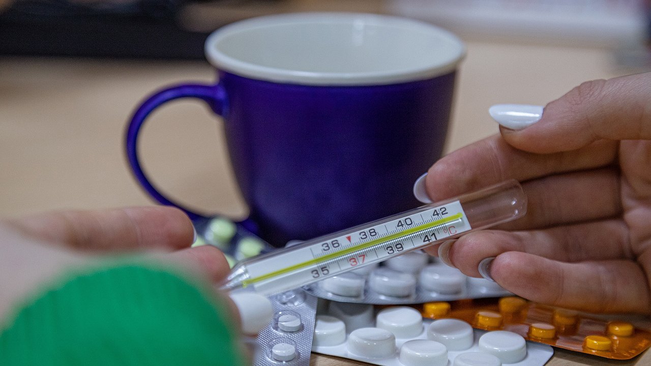 Главная картинка новости: Риновирус лидирует: в Свердловской области за неделю выявили 29 тысяч случаев ОРВИ