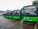 Екатеринбург обновляет автопарк: первые 14 новых автобусов вышли на маршруты