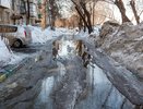 Погода удивит всех в новогоднюю ночь 2026 года: обещают слякоть или снег