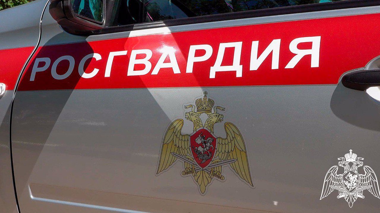 Главная картинка новости: Грабеж пункта выдачи заказов в Екатеринбурге: Росгвардия задержала двух злоумышленников