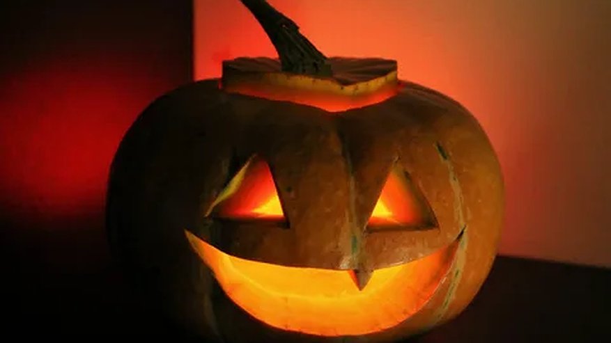 Главная картинка новости: Озвучено, грозят ли штрафы на Хеллоуин за тыквы