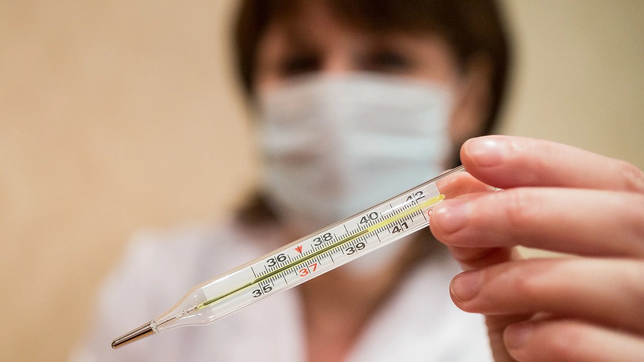 Главная картинка новости: Эпидемиолог Харитонов предупредил о вспышке гриппа в Свердловской области после 10 ноября