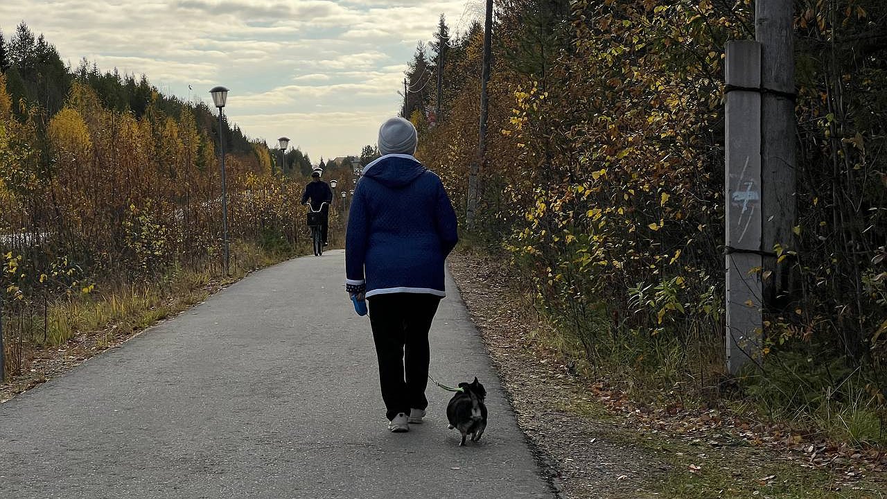 Главная картинка новости: После этих слов нужно бежать без оглядки: психолог назвала фразы, которые разрушают личность