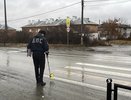 В Верхней Пышме водитель Honda Fit сбил женщину на пешеходном переходе