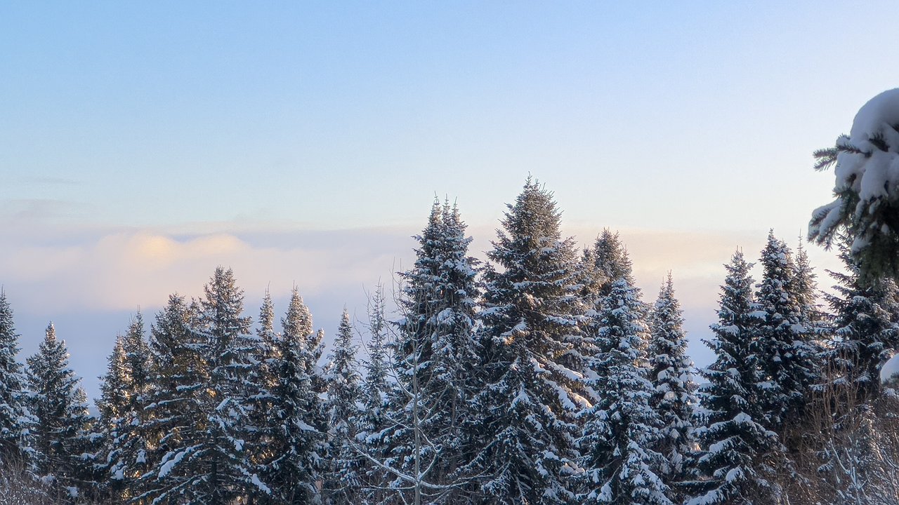 Главная картинка новости: Аномальный холод наступит в декабре 2025: чего не было с 1877 года и к чему готовиться жителям Урала