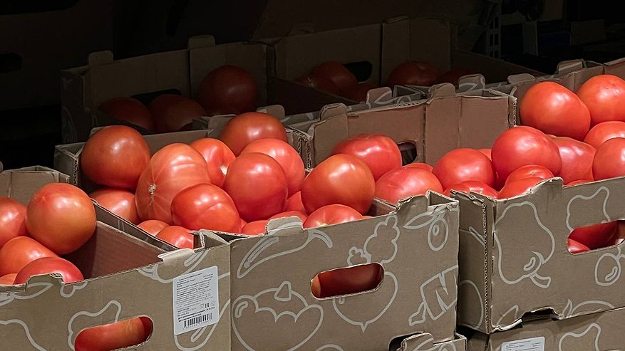 Главная картинка новости: Цены на огурцы и помидоры взлетели в Свердловской области: статистика показывает резкий рост за неделю