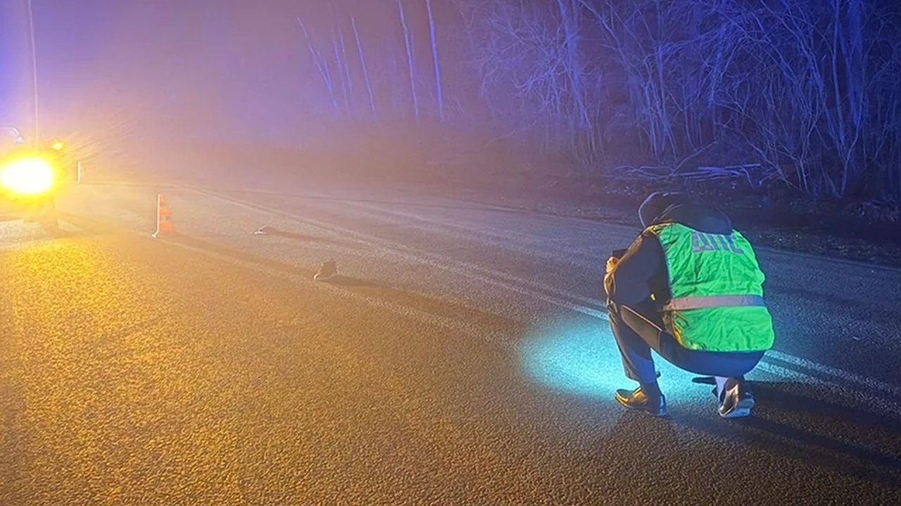 Главная картинка новости: 18 лет стажа и 50 нарушений: водитель кроссовера насмерть сбил пешехода в Полевском, переключая фары