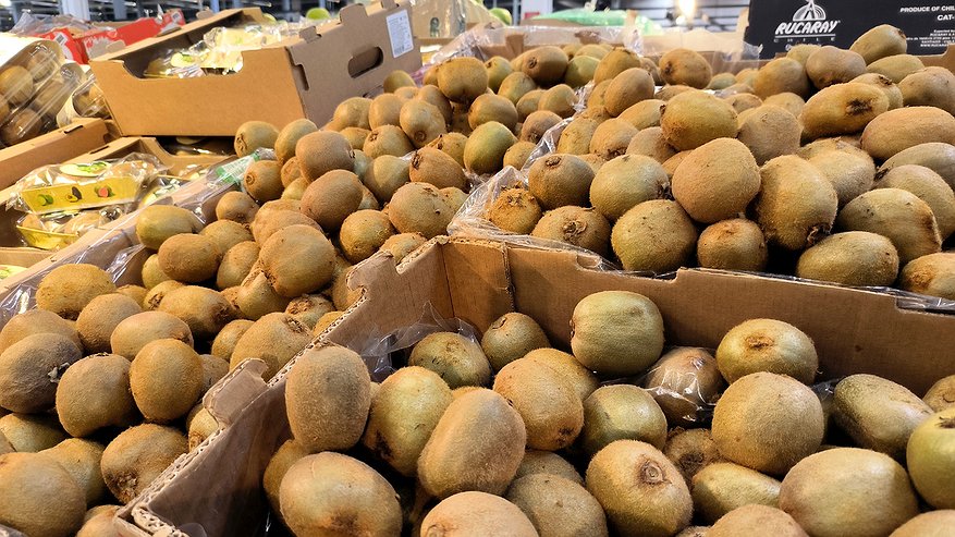 Главная картинка новости: Зараженные вредителями лимоны и киви поступили в продажу на Урале