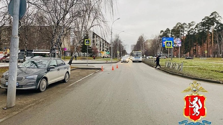 Главная картинка новости: На Академика Бардина водитель Skoda сбил женщину на пешеходном переходе