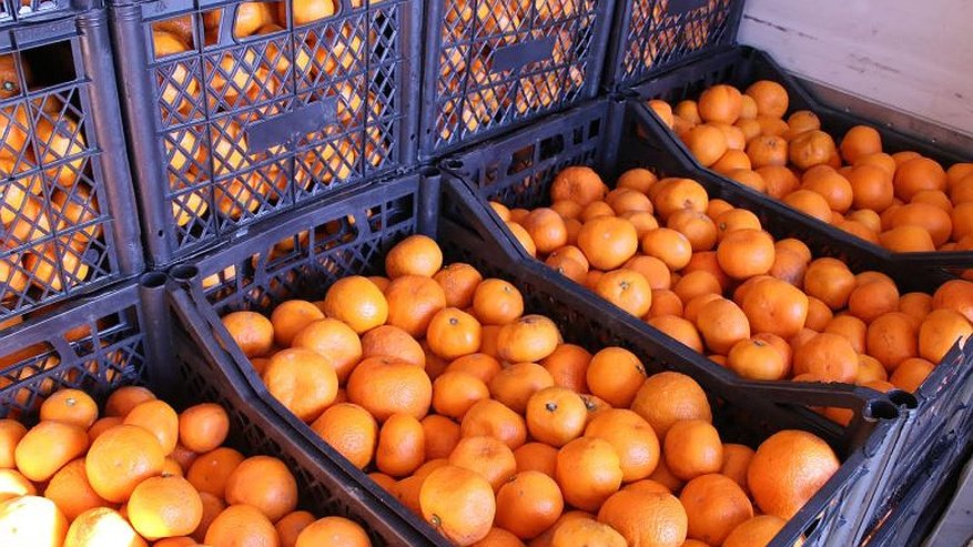 Главная картинка новости: Более 220 тонн китайских мандаринов доставили в магазины Екатеринбурга