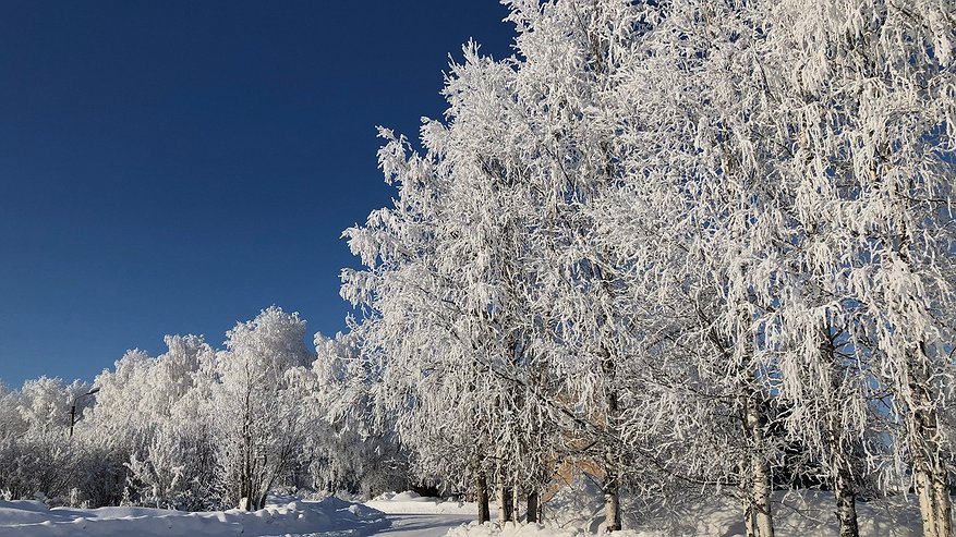 Главная картинка новости: Метель и двадцатиградусный мороз: какая погодная встряска ждёт Свердловскую область на следующей неделе