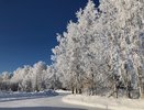 Зима включила режим «качелей»: в Екатеринбурге ждут мороз под -30°, а затем резкое потепление
