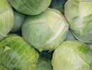 В Екатеринбург поступили 60 тонн импортной и российской капусты, прошедшей карантинный контроль