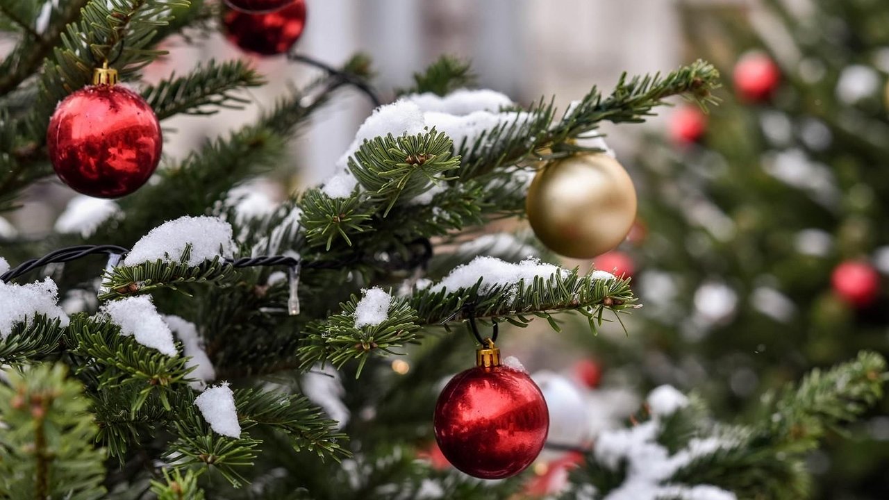 Главная картинка новости: «Спасибо» из детских рук: в Екатеринбурге стартует новогодний марафон благодарности