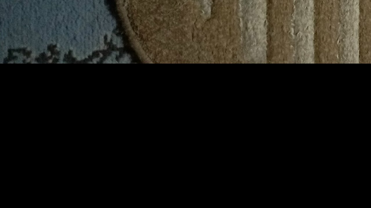 Главная картинка новости: Ковёр свежий без клининга: рассыпаю «чудо-пудру» из шкафа и включаю пылесос — грязь и затхлость уходят на раз