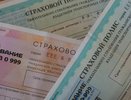 Стоимость ОСАГО в Свердловской области подросла на 2% на фоне нового тарифного коридора