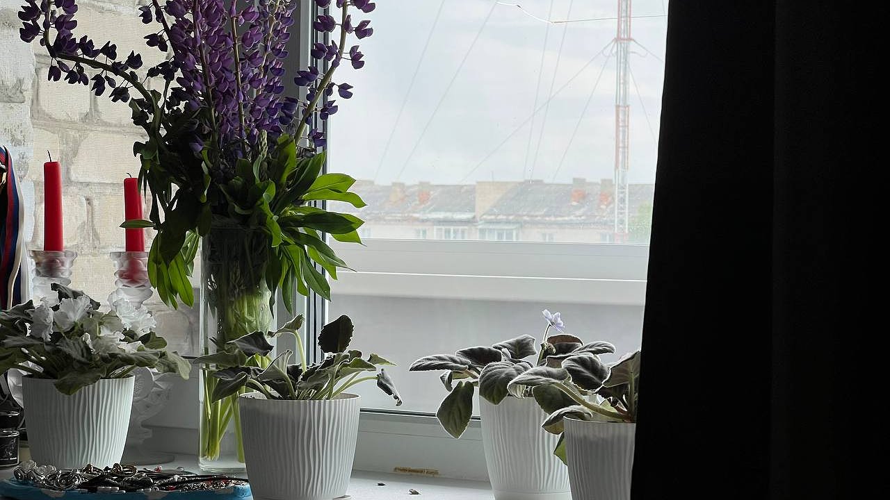 Главная картинка новости: Подоконник перестал быть ледяным, и из окон больше не дует: справился без мастера, рассказываю и показываю по шагам