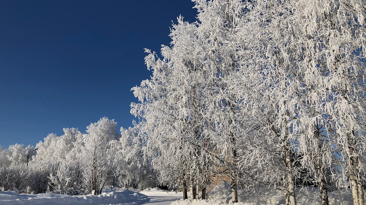 Главная картинка новости: Синоптики дали первый прогноз на новогоднюю ночь в Свердловской области