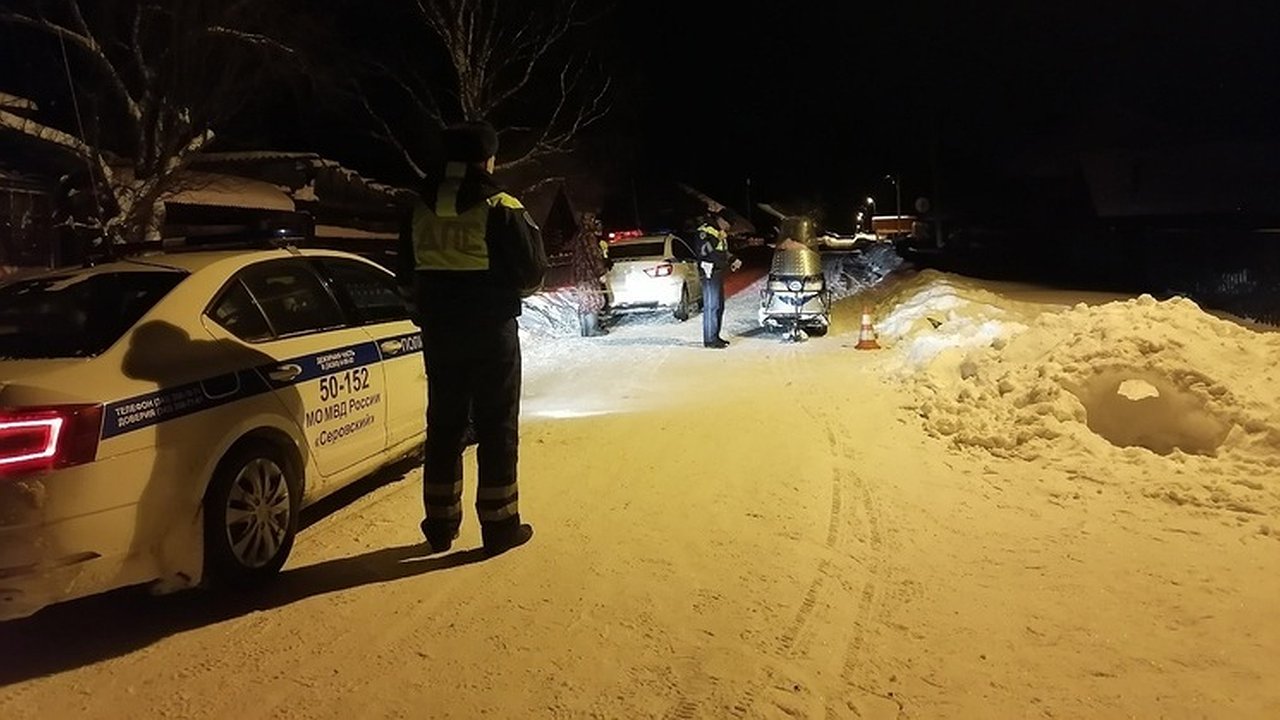 Главная картинка новости: Пьяный водитель на самодельном снегоходе сбил женщину в Серовском округе