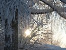 Урал на пороге арктических морозов: на севере Свердловской области ожидается до -40°C