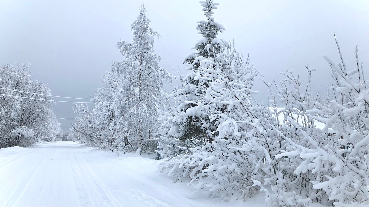 Главная картинка новости: Февраль станет самым непредсказуемым: синоптики предупредили, к чему готовиться в конце зимы