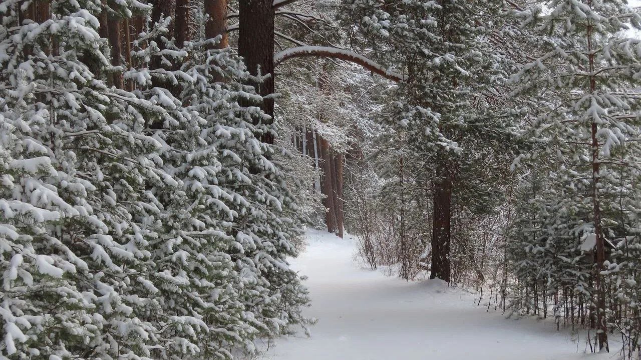 Главная картинка новости: Свердловская область рассекречивает маршруты: как изменится отдых в «Оленьих ручьях» и «Бажовских местах»