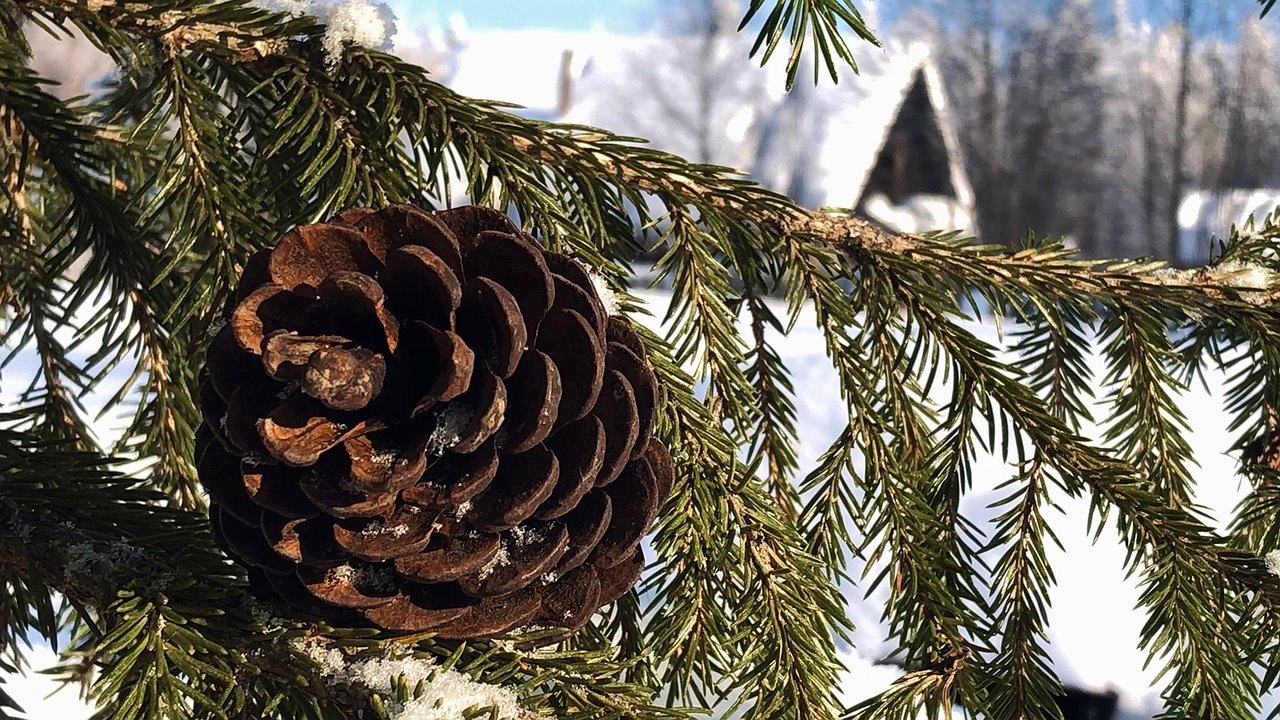 Главная картинка новости: Метели и аномальное тепло: Урал ждет резкий перепад на 30 градусов к концу недели