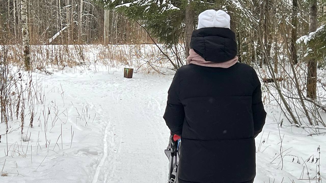 Главная картинка новости: Что скрывают новые пособия в 2026 году? Изменения, которые удивят каждого родителя