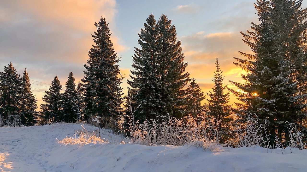 Главная картинка новости: Прогноз погоды в Свердловской области: морозы до -32° на следующей неделе